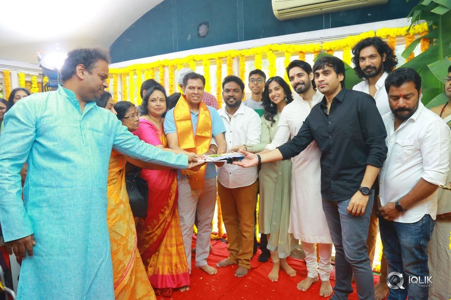 Ichata-Vaahanamulu-Nilupa-Raadhu-Movie-Opening